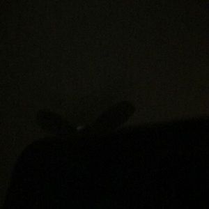 Meet your Posher, Max